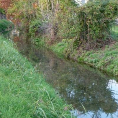 Bassanonet.it Pulizia dei canali: si pensa già alle “asciutte”