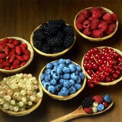 Bassanonet.it Piccoli frutti