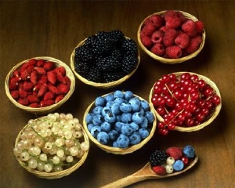 Bassanonet.it Piccoli frutti