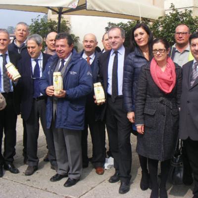 Bassanonet.it L'asparago cambia marcia
