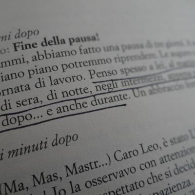 Bassanonet.it Emmi e Leo, nel vento del Nord