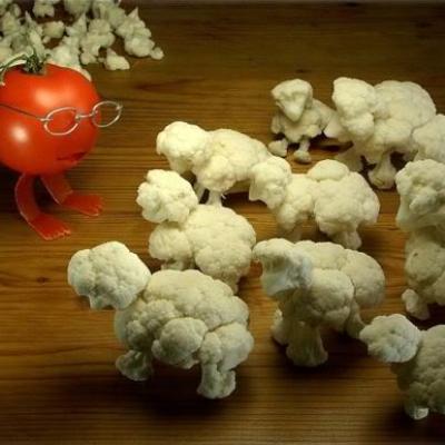 Bassanonet.it Che cavolo è biologico?