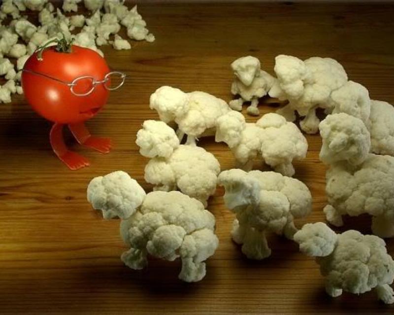 Bassanonet.it Che cavolo è biologico?