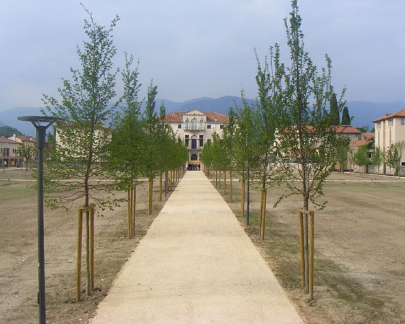 Bassanonet.it Habemus Brolo