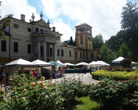 Bassanonet.it Rose in villa