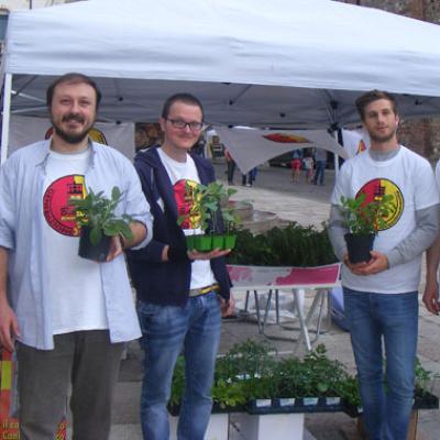 Bassanonet.it Piantatela!