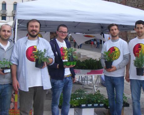 Bassanonet.it Piantatela!