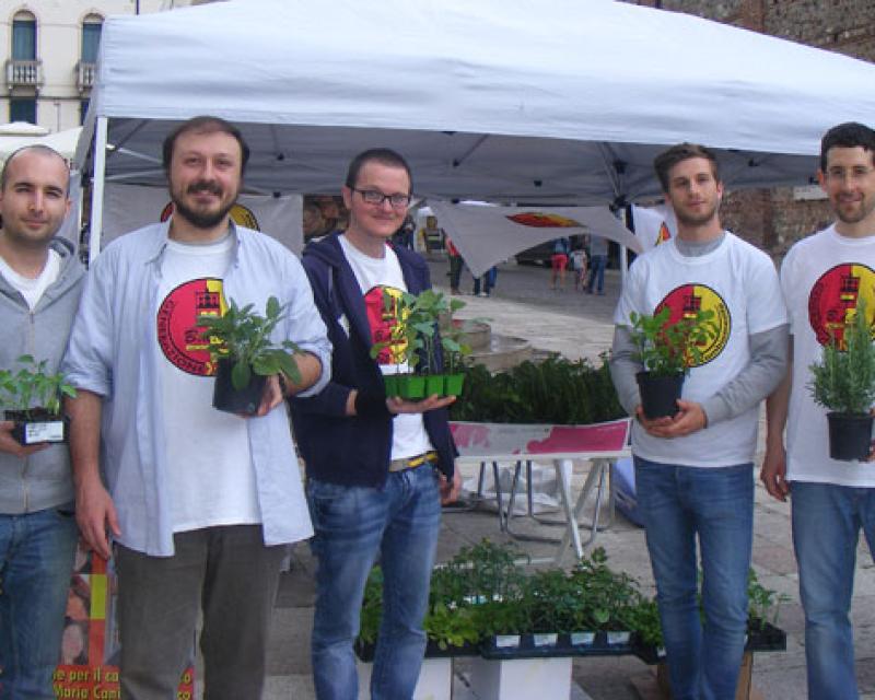 Bassanonet.it Piantatela!