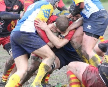 Bassanonet.it Federica Finco - Giangregorio: è mischia