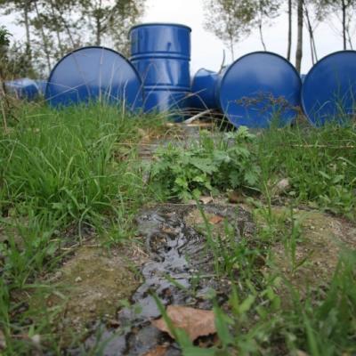 Bassanonet.it Così in terra