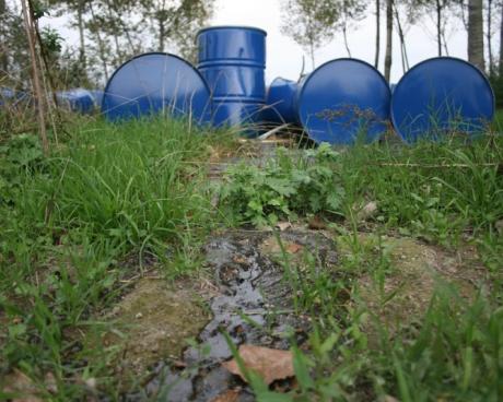 Bassanonet.it Così in terra