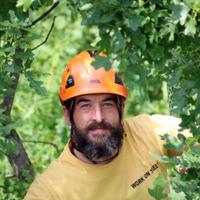 Bassanonet.it Urbanizzazione contro Radicazione