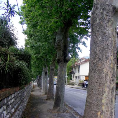 Bassanonet.it Il luogo del “delitto”