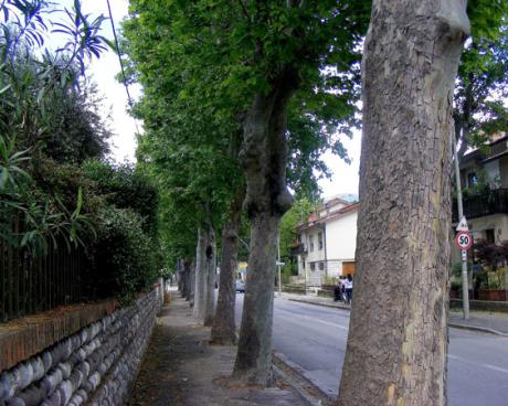 Bassanonet.it Il luogo del “delitto”