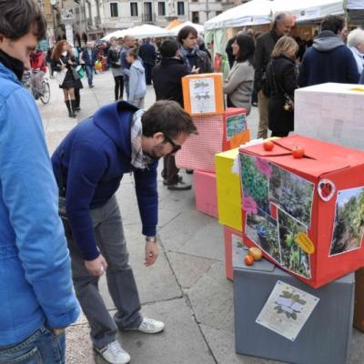 Bassanonet.it Sintonizzare: