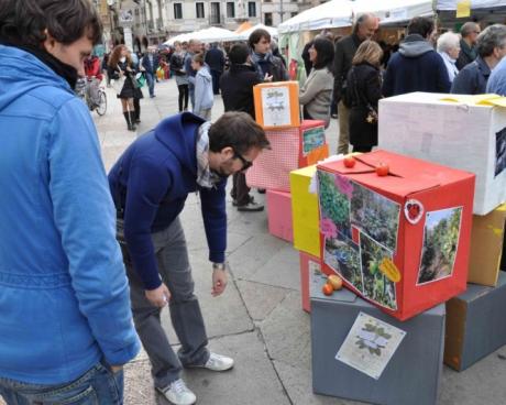 Bassanonet.it Sintonizzare: