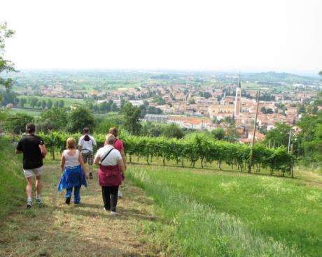 Bassanonet.it Al via le Europiadi