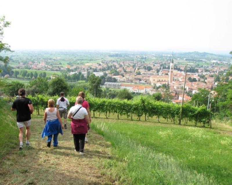 Bassanonet.it Al via le Europiadi