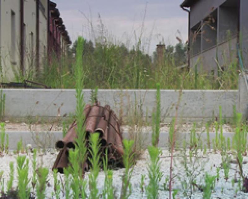 Bassanonet.it A tu per tu con Riccardo Maggiolo