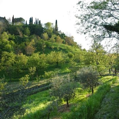 Bassanonet.it Turismo: alla scoperta dell'“altra Marostica” 