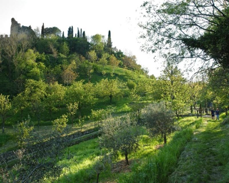 Bassanonet.it Turismo: alla scoperta dell'“altra Marostica”