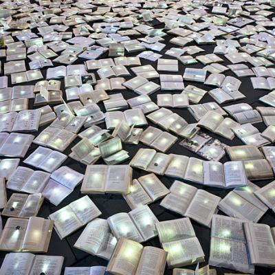 Bassanonet.it Anche Bassano, legge