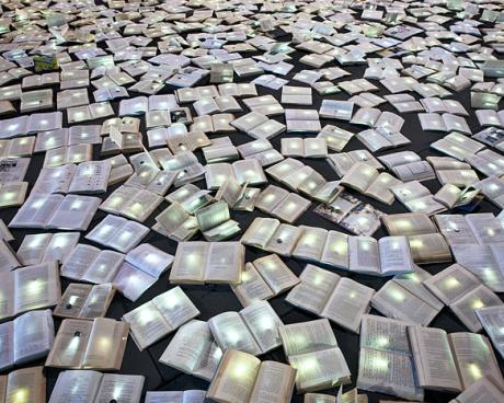 Bassanonet.it Anche Bassano, legge