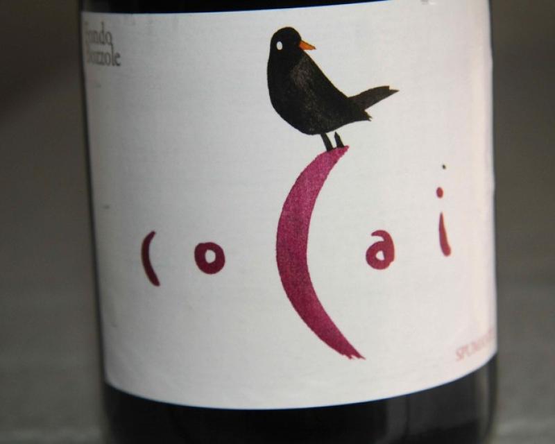 Bassanonet.it Un Lambrusco di nome Cocai