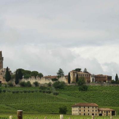 Bassanonet.it Il Veneto al 300 x 100