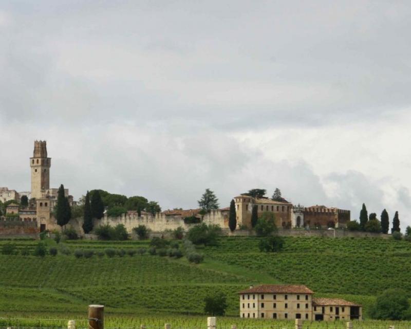 Bassanonet.it Il Veneto al 300 x 100