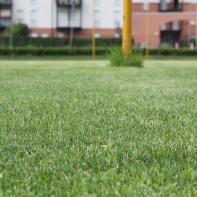 Bassanonet.it Rugby Bassano nel girone B: nuova formula nel campionato di serie C1