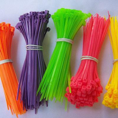 Bassanonet.it L'imballaggio, questo sconosciuto