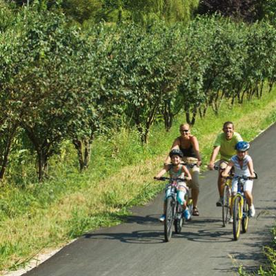 Bassanonet.it Pista danzante