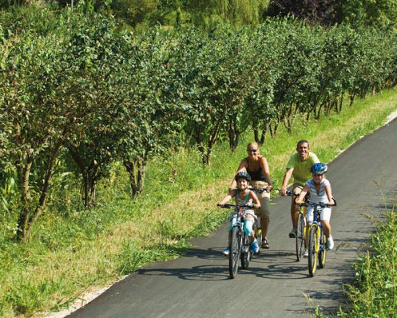 Bassanonet.it Pista danzante