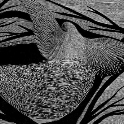 Bassanonet.it Alle radici dell'incisione