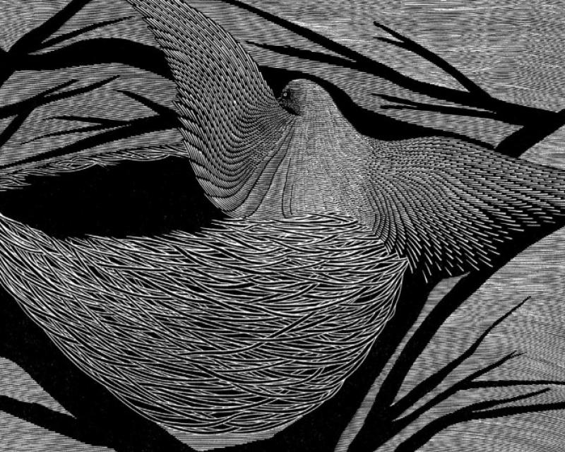 Bassanonet.it Alle radici dell'incisione