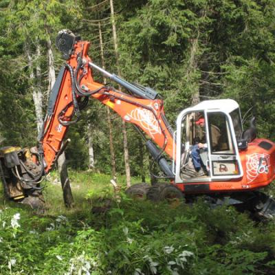Bassanonet.it Lavori in bosco