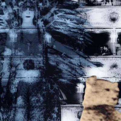 Bassanonet.it Un ghepardo in laguna