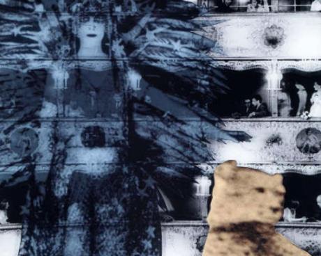 Bassanonet.it Un ghepardo in laguna