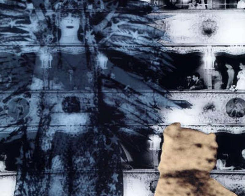 Bassanonet.it Un ghepardo in laguna