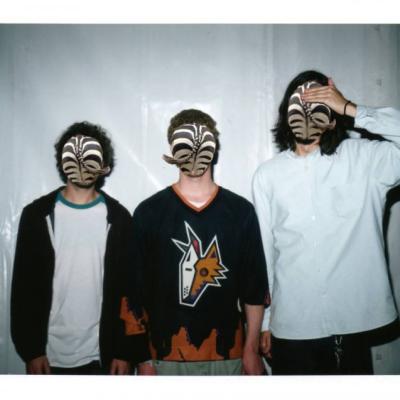 Bassanonet.it La musica è gratis, il rock è al Vinile