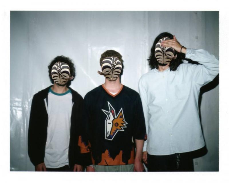 Bassanonet.it La musica è gratis, il rock è al Vinile