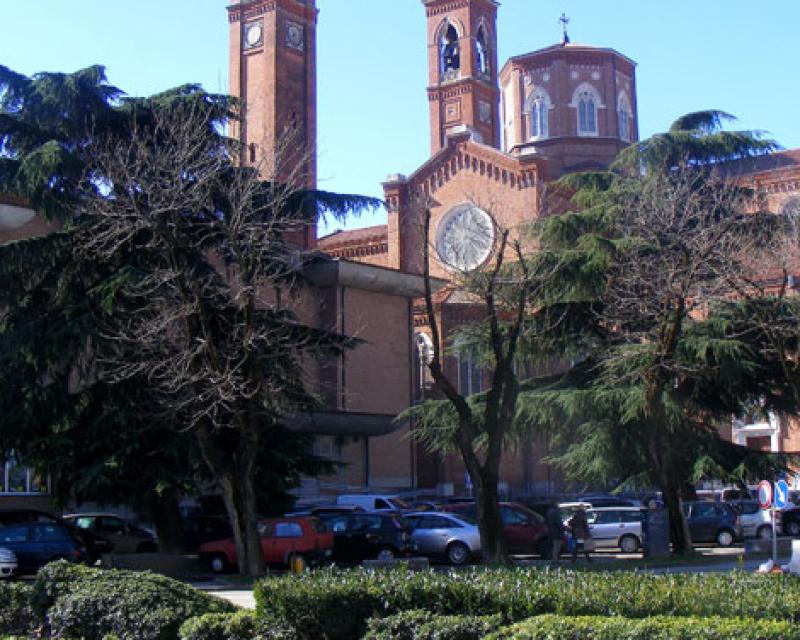 Bassanonet.it Gli alberi del Don