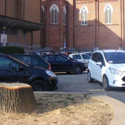 Bassanonet.it Licenziati in tronco