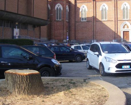 Bassanonet.it Licenziati in tronco