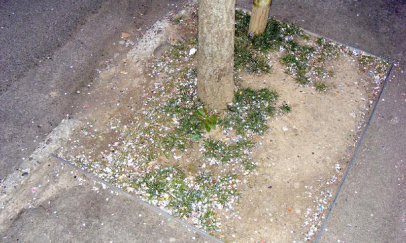 Bassanonet.it - Viale Venezia