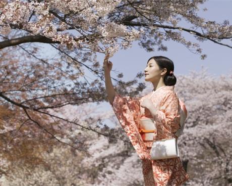 Bassanonet.it Il Giappone in Biblioteca