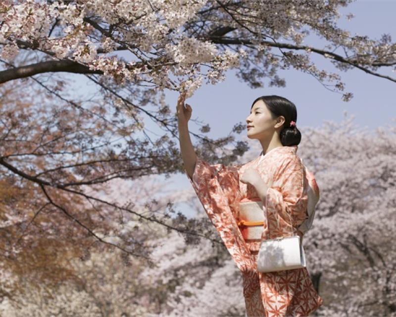 Bassanonet.it Il Giappone in Biblioteca