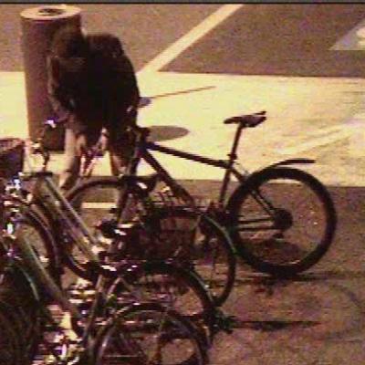 Bassanonet.it Mai dire Bike