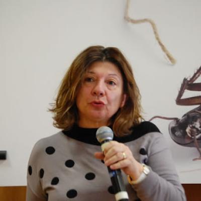Bassanonet.it Il gelsomino egeo
